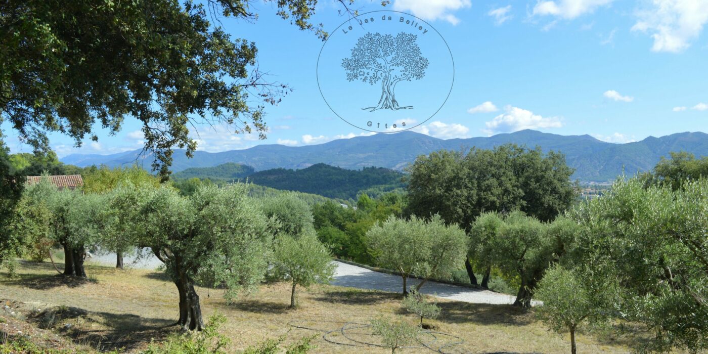 gîtes le jas de Belley à Montfort 04 en Haute-Provence en campagne location saisonnière 3 étoiles avec piscine ,olivette à l'arrière se situ les montagnes sous un ciel bleu avec des nuages en Haute-Provence 04.